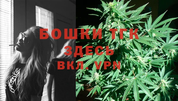 мескалин Козловка