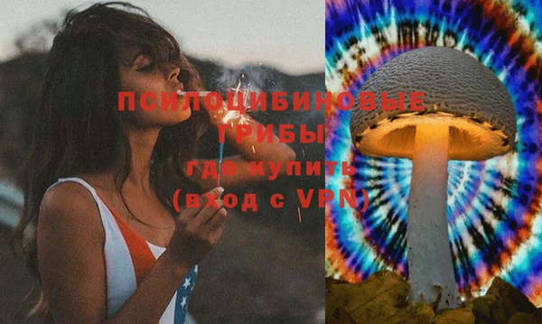 мескалин Козловка