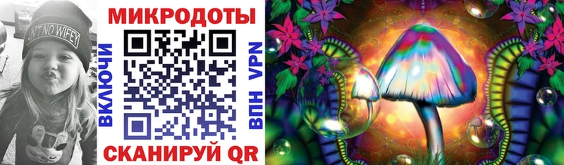 Купить где  Власиха  Галлюциногенные грибы Psilocybine cubensis 
